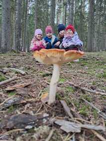 IMG 20241018 WA0003
